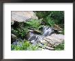 Cascading Waterfall Over Large Rocks Surrounded By Ferns, Visions Of Snowdonia Garden by Linda Burgess Limited Edition Print