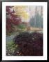 Japanese Maples by Darlyne A. Murawski Limited Edition Pricing Art Print