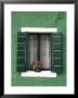 Flower Pot On Window Sill, Burano, Venice, Veneto, Italy by Sergio Pitamitz Limited Edition Pricing Art Print