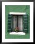 Flower Pot On Window Sill, Burano, Venice, Veneto, Italy by Sergio Pitamitz Limited Edition Print