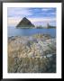 Lake And Tufa Formations, Pyramid Lake Indian Reservation, Nevada, Usa by Scott T. Smith Limited Edition Print