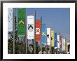 Pennants In Eyre Square Representing The Tribes Of Galway, County Galway, Connacht, Ireland by Gary Cook Limited Edition Print