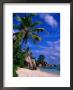 Palm Tree On Beach, Anse Source D'argent, Seychelles by Ralph Lee Hopkins Limited Edition Print