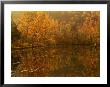 Autumn Reflections On Pond, Missouri, Usa by Gayle Harper Limited Edition Print