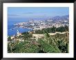 View Over Funchal, Madeira, Portuga, Atlantic by Hans Peter Merten Limited Edition Pricing Art Print