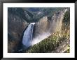 Grand Canyon, Yellowstone National Park, Unesco World Heritage Site, Wyoming, Usa by Roy Rainford Limited Edition Pricing Art Print