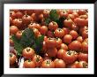 Tomatoes On Market Stall, Kingston-Upon-Thames, Surrey, England, United Kingdom by Jane Legate Limited Edition Print