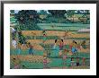 Painting Of People Harvesting In Rice Fields, Neka Museum, Ubud, Island Of Bali, Indonesia by Bruno Barbier Limited Edition Print