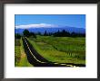 The Saddle Road Connecting East And West Hawaii, With Mauna Loa In The Distance, Hawaii, Usa by Ann Cecil Limited Edition Print