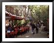 Cours Mirabeau, Aix-En-Provence, Bouches-Du-Rhone, Provence, France by John Miller Limited Edition Print