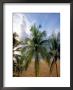 Curtain Bluff Hotel Beach, Antigua, Caribbean by Nik Wheeler Limited Edition Pricing Art Print