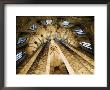 Vault Detail Of The Esglesia De Santa Maria Del Mar, Barcelona, Catalonia, Spain by Krzysztof Dydynski Limited Edition Print