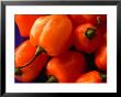 Red Peppers, Australia by John Hay Limited Edition Print