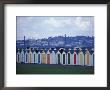 Beach Huts Of Paignton, Devon, England by Nik Wheeler Limited Edition Print