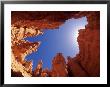 Wall Street Trail At Bryce Canyon, Utah, Usa by Daisy Gilardini Limited Edition Print