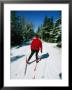 Cross-Country Skiing, Lake Placid, New York by Skip Brown Limited Edition Print