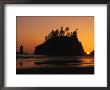 Sunset On Second Beach In Olympic National Park by Phil Schermeister Limited Edition Print