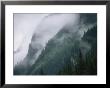 Fog Blankets Spruce Trees In Yoho National Park by Michael Melford Limited Edition Print