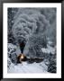 A Train Chugs Through The Snow Blanketing The San Juan Mountains by Paul Chesley Limited Edition Print