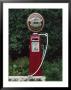 Murphy's Stout Petrol Pump, County Cork, Munster, Eire (Republic Of Ireland) by Julia Thorne Limited Edition Print