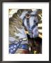 Horse On Carousel In Caras Park, Missoula, Montana, Usa by John & Lisa Merrill Limited Edition Print