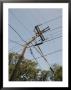Tangled Wires Stretch In Four Directions From A Telephone Pole by Sam Kittner Limited Edition Pricing Art Print