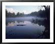 Lake Muskokas, Ontario by David Scott Limited Edition Print