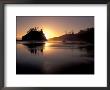 Sunset At Second Beach, Olympic National Park, Washington, Usa by Jamie & Judy Wild Limited Edition Print