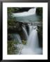Time Exposure Of Johnston Creek Near The Upper Falls by Raymond Gehman Limited Edition Print