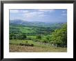 Fields In The Valleys Near Brecon, Powys, Wales, Uk, Europe by Roy Rainford Limited Edition Print