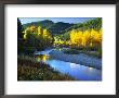 Wenatchee River, Central Cascades, Washington, Usa by Janell Davidson Limited Edition Print