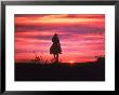 Silhouette Of Cowboy On Horse At Sunset by Ewing Galloway Limited Edition Print