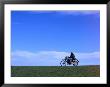 Local Farmer Riding Motorbike Across Paddock, Seymour, Australia by Will Salter Limited Edition Print
