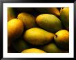 Nam Doc Mai Mangoes For Sale At Rapid Creek Market, Darwin, Australia by Will Salter Limited Edition Print