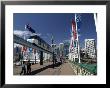 Monorail On Pyrmont Bridge, Darling Harbor, Sydney, Australia by David Wall Limited Edition Print