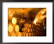 19Th Century Wine Cellar, Juanico Winery, Uruguay by Stuart Westmoreland Limited Edition Print