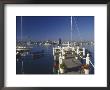 Balboa, Newport Beach, Ca by Michele Burgess Limited Edition Print