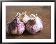 Fresh Violet And White Garlic, Clos Des Iles, Le Brusc, Cote D'azur, Var, France by Per Karlsson Limited Edition Pricing Art Print