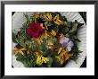 An Edible Salad At The Tilth Harvest Festival In Seattle by Sam Abell Limited Edition Print