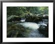 A Babbling Brook In The New Hampshire Woods by Heather Perry Limited Edition Print