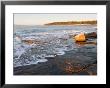 Early Morning At Wonderland, Acadia National Park, Maine, Usa by Jerry & Marcy Monkman Limited Edition Print