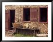 Sweetgrass Baskets And Gourds By Slave Quarters At Boone Hall Plantation, South Carolina, Usa by Julie Eggers Limited Edition Print