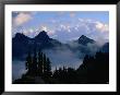 Mist Shrouding The Valleys Of The Paradise Area Trails, Mt. Rainier National Park, Usa by John Elk Iii Limited Edition Print