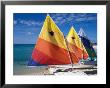 Sailboats On The Beach At Princess Cays, Bahamas by Jerry & Marcy Monkman Limited Edition Print