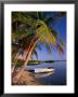 An Empty Boat Rests In Still Water Of Storr's Lake, Storr's Lake, Bahamas by Michael Lawrence Limited Edition Print