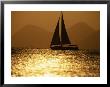 Sailboat At Sunset by Stewart Cohen Limited Edition Print