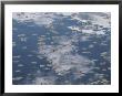 Fallen Leaves And Reflections Of Clouds On The Surface Of Water by Annie Griffiths Belt Limited Edition Print