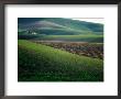 Rolling Hills And Ploughed Field In Spring, Palouse, U.S.A. by Ann Cecil Limited Edition Print