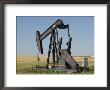 Oil Rig Pumps Oil From The Montana Ground by Joel Sartore Limited Edition Print