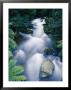 Time-Lapse Of The Taggerty River Flowing Over Rock Through The Rain Forest by Jason Edwards Limited Edition Print